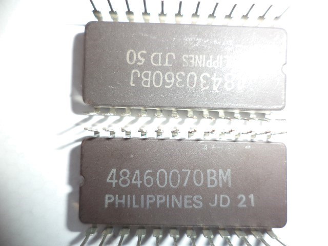 DSC00942 (Small) (Small).JPG