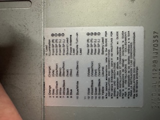 IMG_2124.jpeg