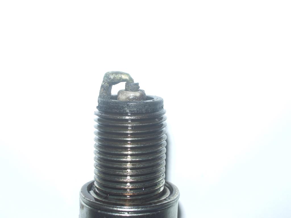 Plug 003.JPG