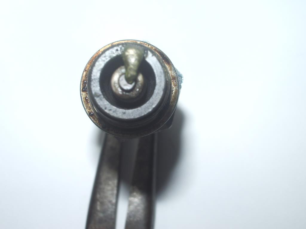 Plug 004.JPG