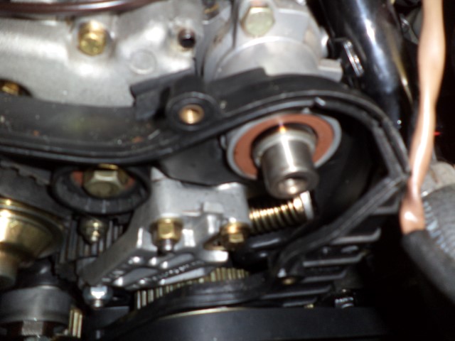 DSC01056 (Small).JPG